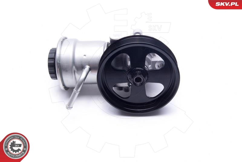 Hydraulic Pump, steering 10SKV311