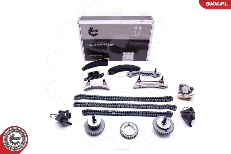 Timing Chain Kit 21SKV175