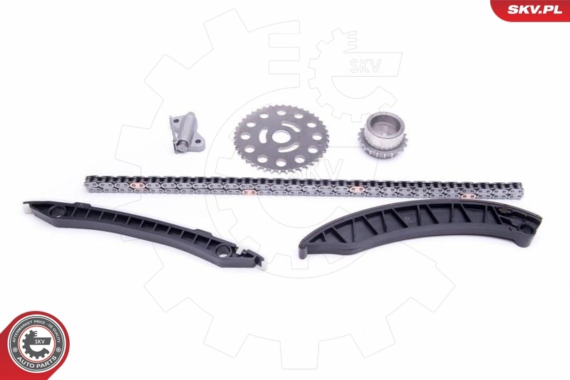 Timing Chain Kit 21SKV246