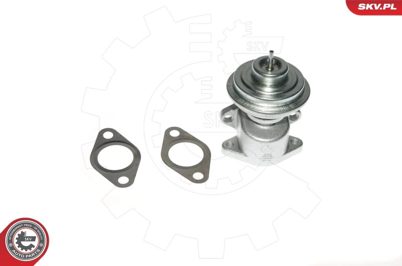 Válvula EGR 14SKV049