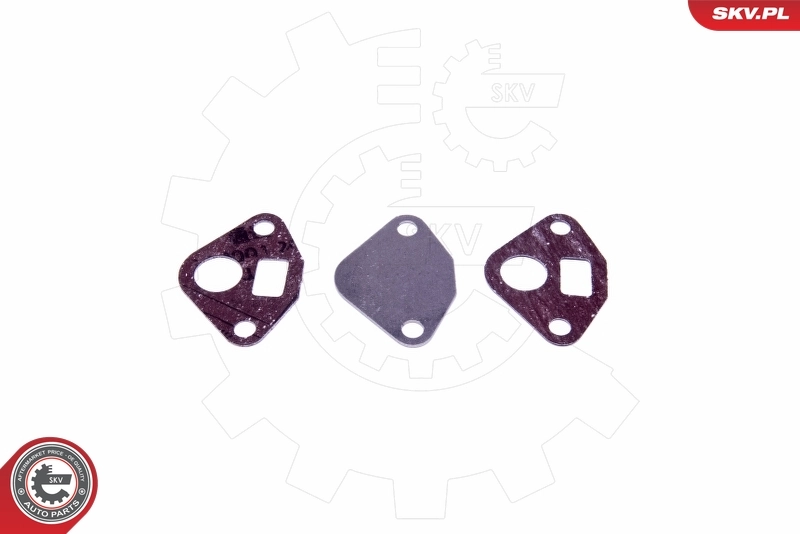 ESEN SKV 14SKV553 Repair Set, EGR valve