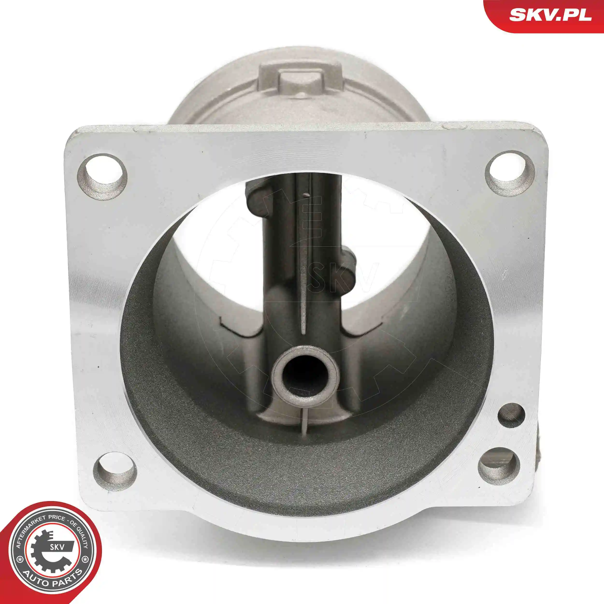 Mass Air Flow Sensor 07SKV218