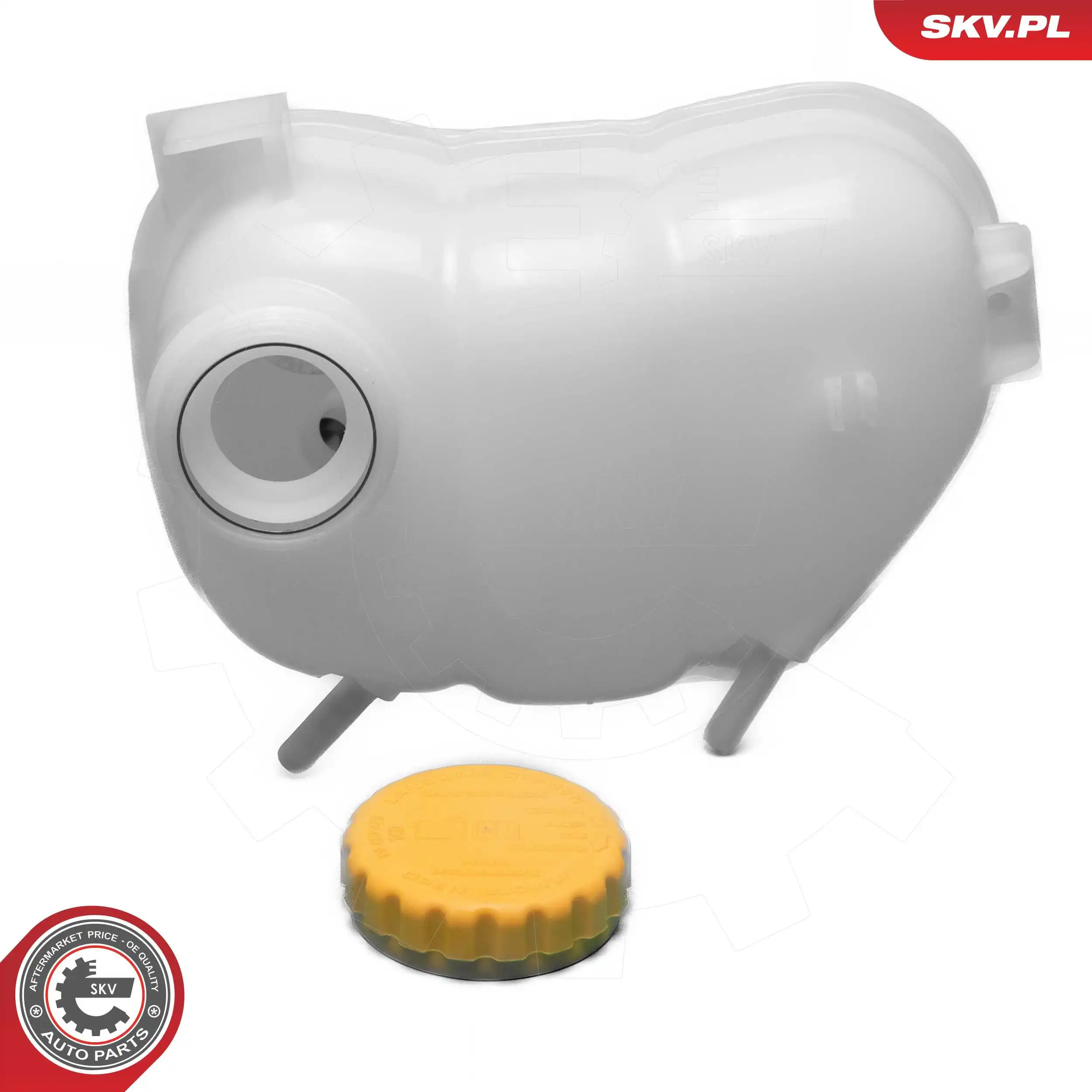 Expansion Tank, coolant 61SKV380