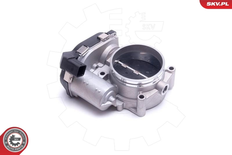 Throttle Body 12SKV115