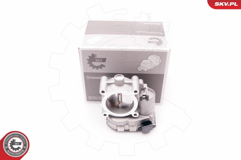 Throttle Body 12SKV067