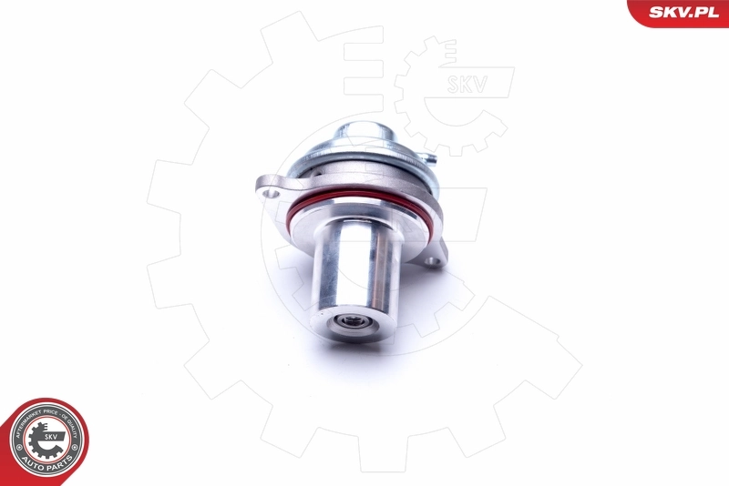 EGR Valve 14SKV182