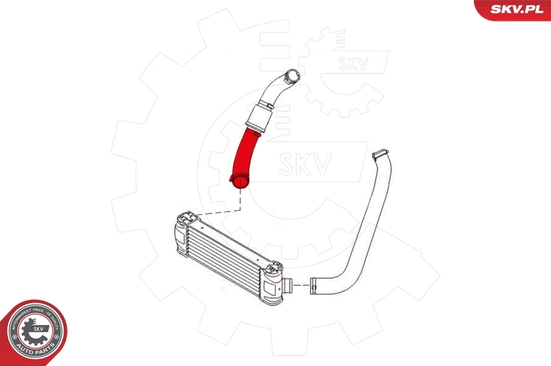 Charge Air Hose 43SKV062