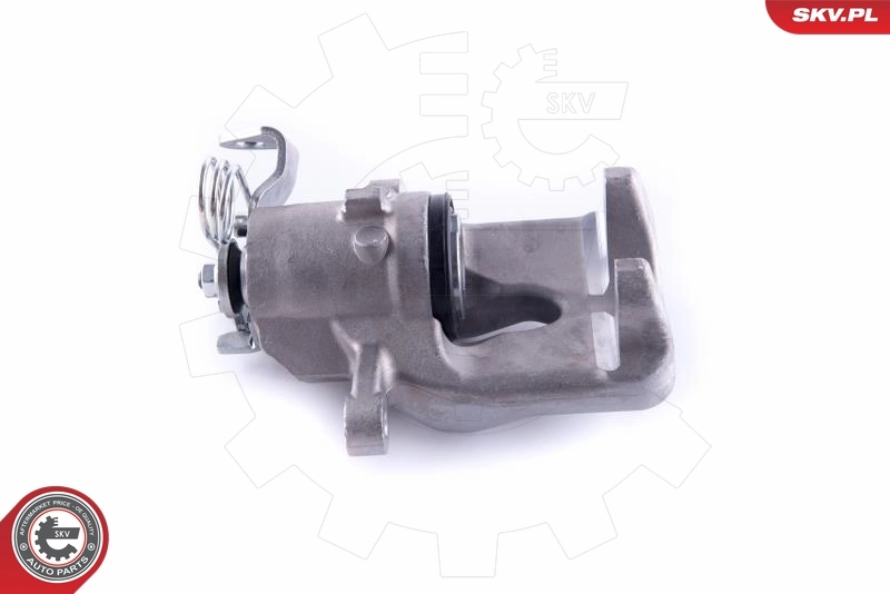 Brake Caliper 55SKV203