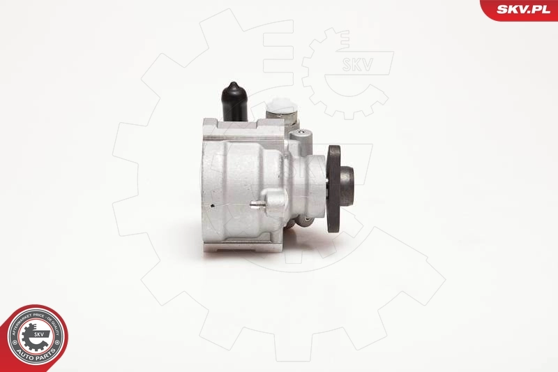 Hydraulic Pump, steering 10SKV003