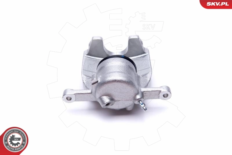Brake Caliper 55SKV921
