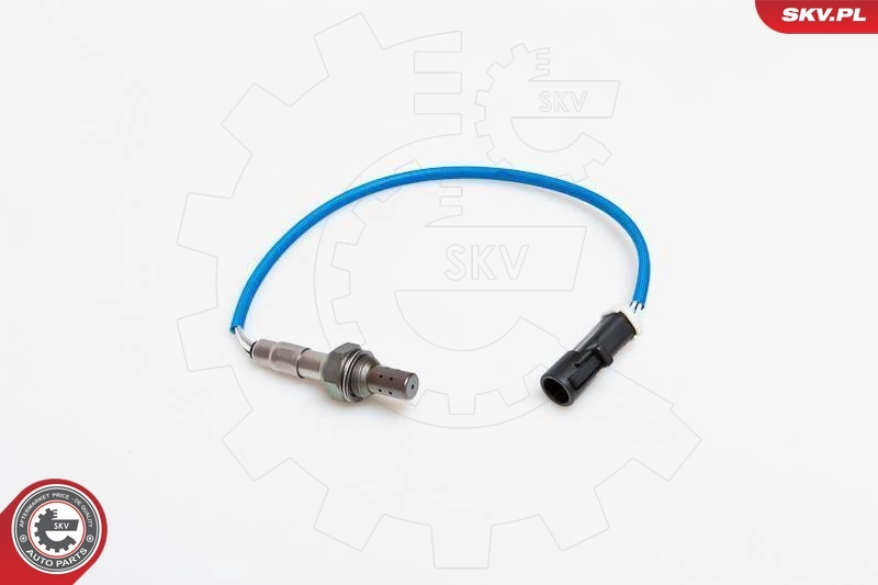 Oxygen Sensor 09SKV002