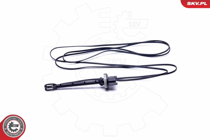 ESEN SKV 17SKV612 Sensor, intake air temperature
