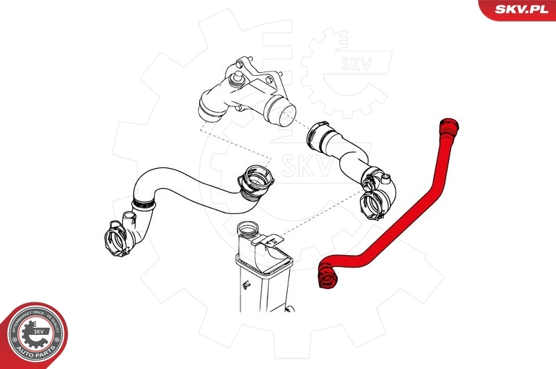 Radiator Hose 43SKV741