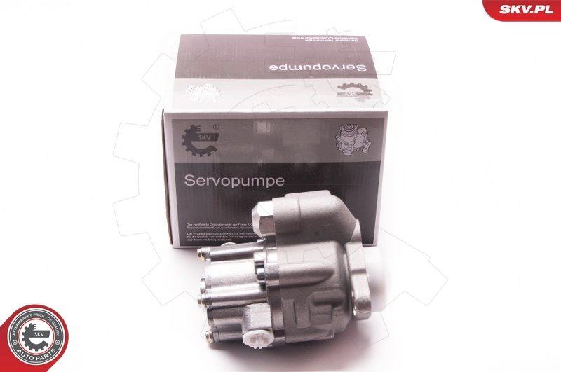 ESEN SKV 1SKV0004 Hydraulic Pump, steering