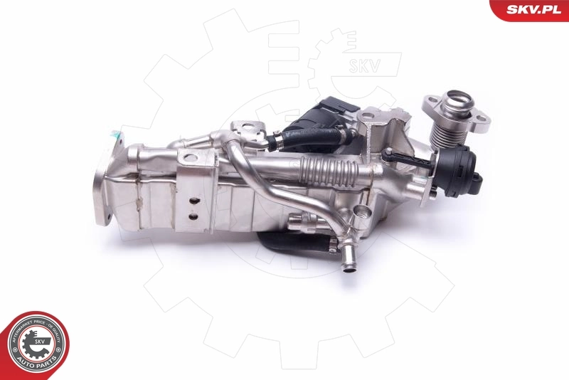 EGR Valve 14SKV234