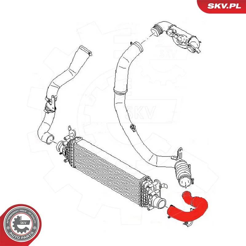 Charge Air Hose 54SKV009