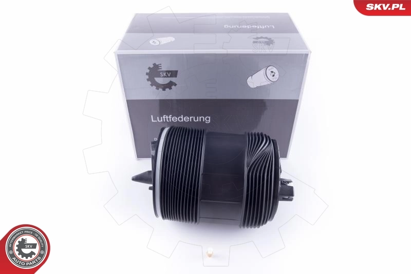 Air Spring, suspension 58SKV032