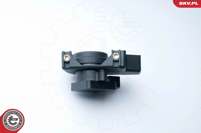 Sensor, throttle position 17SKV015