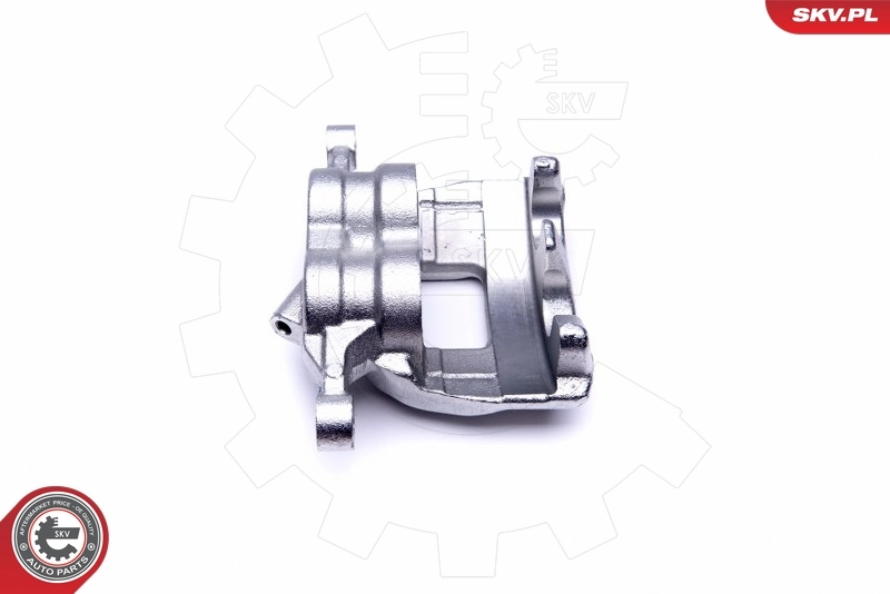 Brake Caliper 50SKV011
