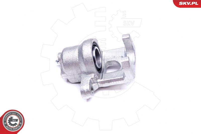 Brake Caliper 45SKV613