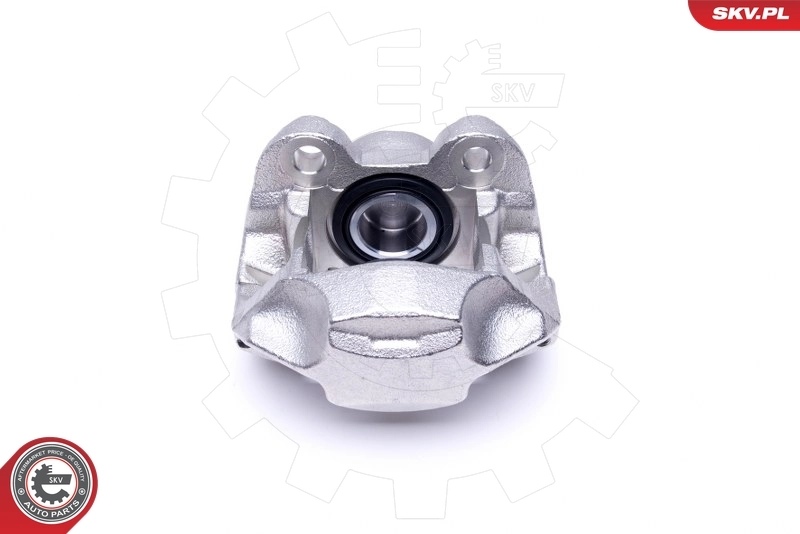Brake Caliper 45SKV442