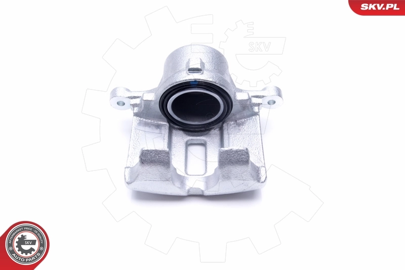 Brake Caliper 46SKV062