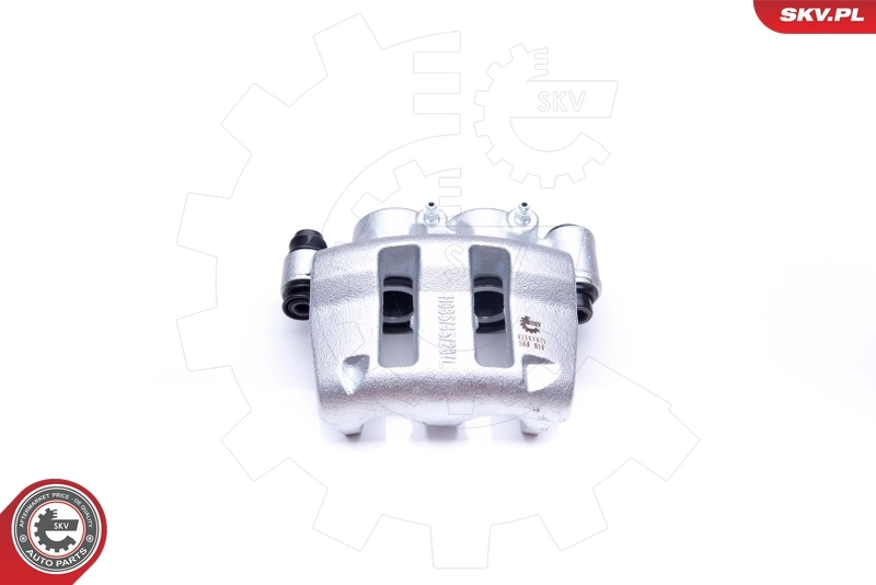 Brake Caliper 42SKV071
