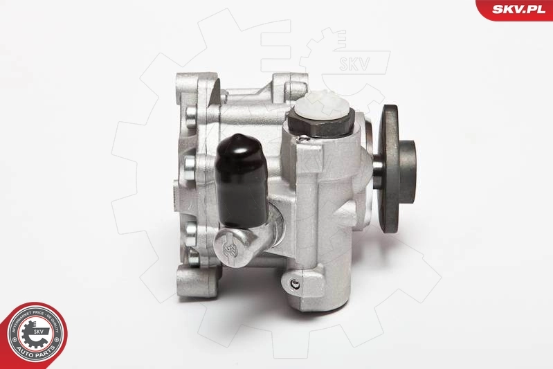 Hydraulic Pump, steering 10SKV043