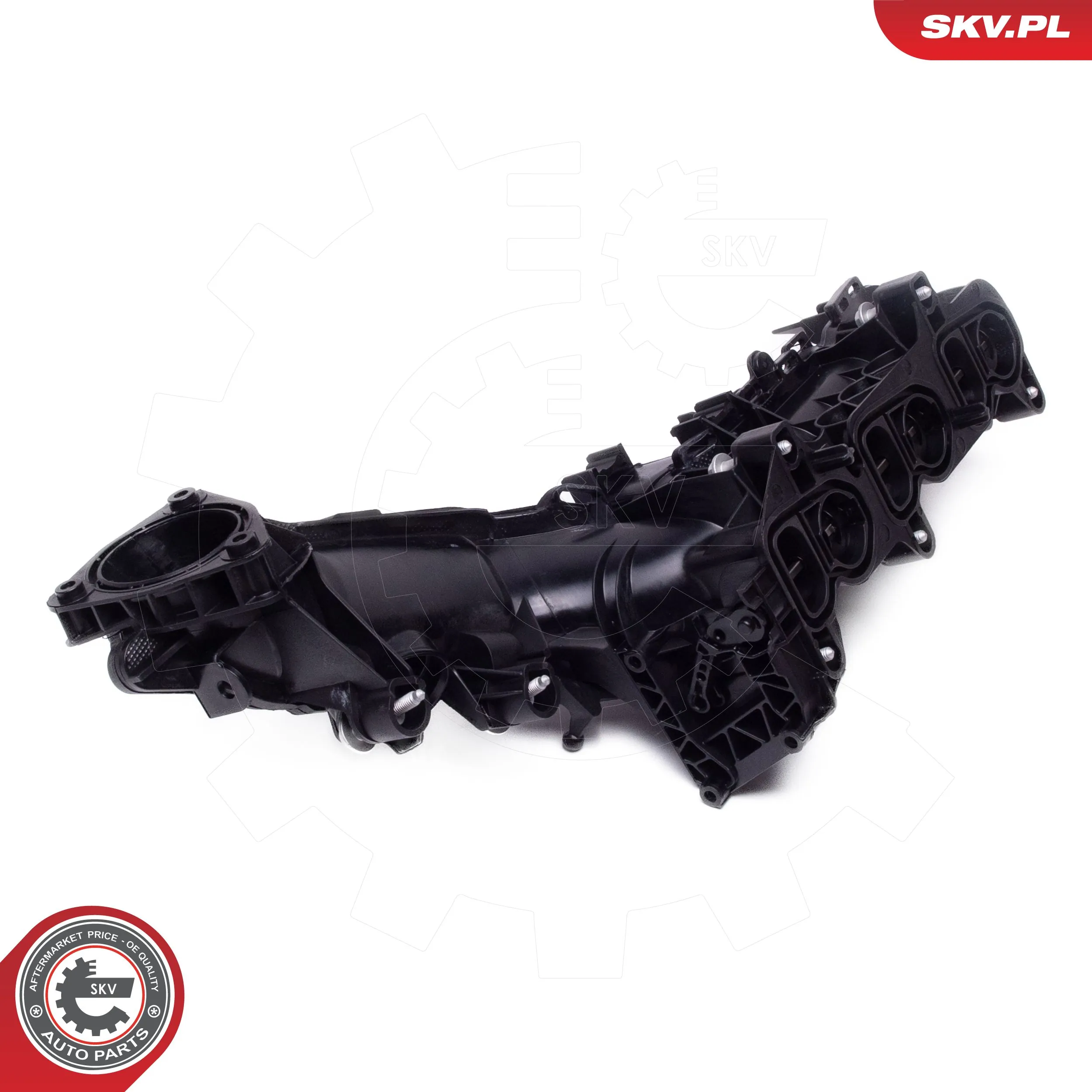 Intake Manifold Module 49SKV079