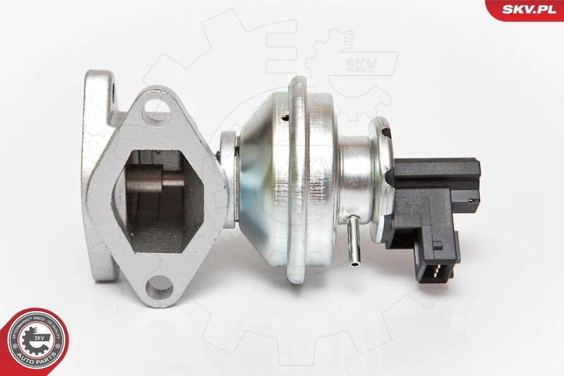 EGR Valve 14SKV050