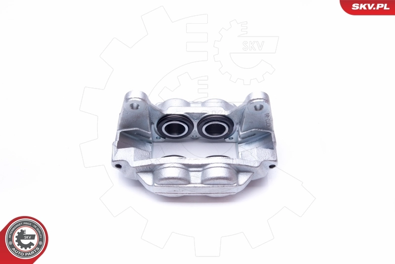 Brake Caliper 42SKV172