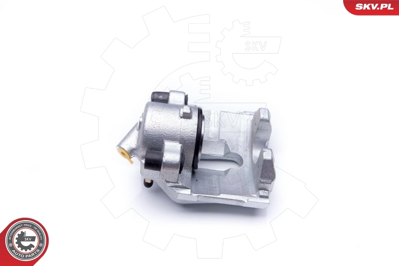 Brake Caliper 42SKV021