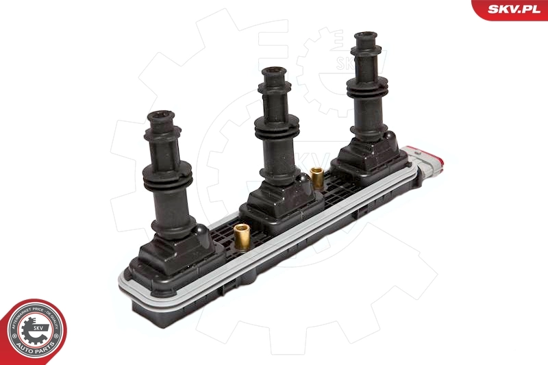 ESEN SKV 03SKV208 Ignition Coil