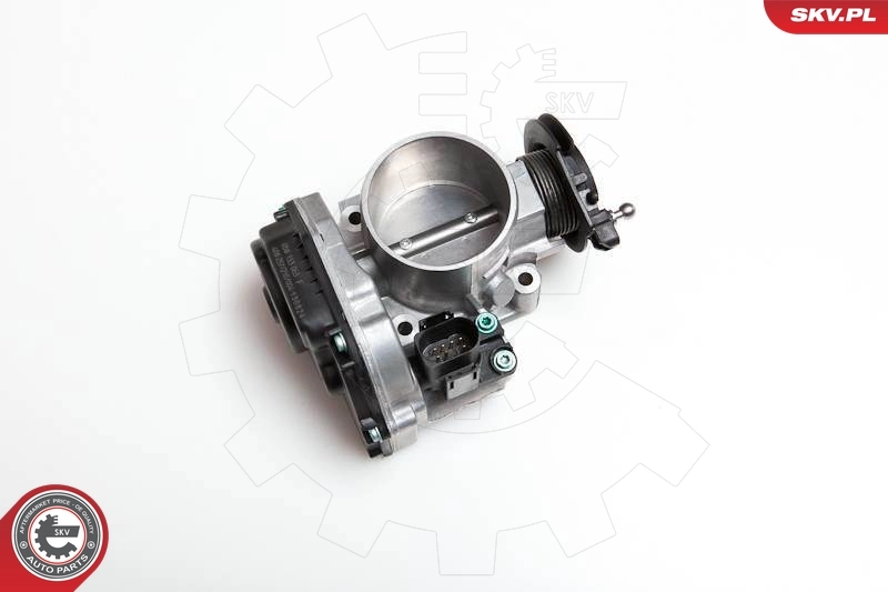 Throttle Body 12SKV007