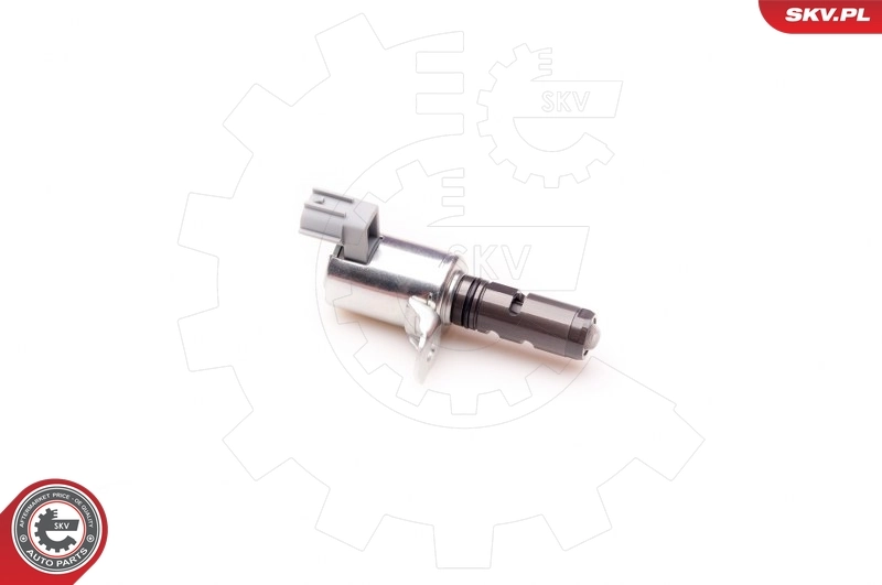 Control Valve, camshaft adjustment 39SKV004