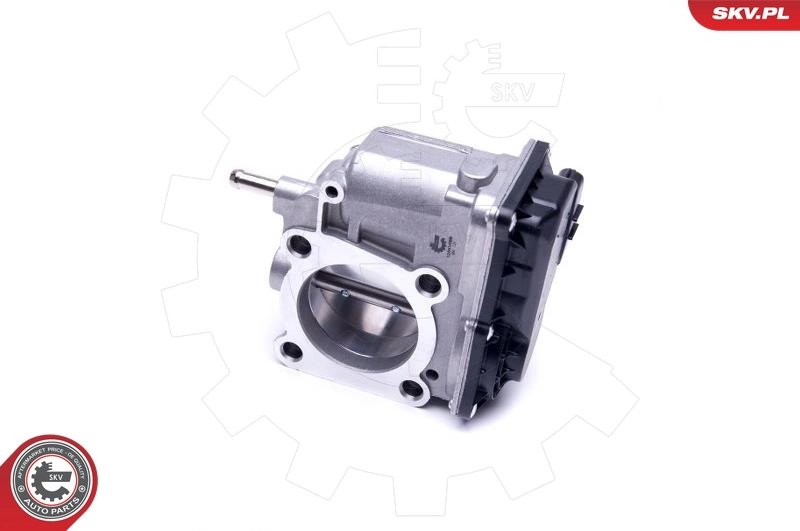 Throttle Body 12SKV089