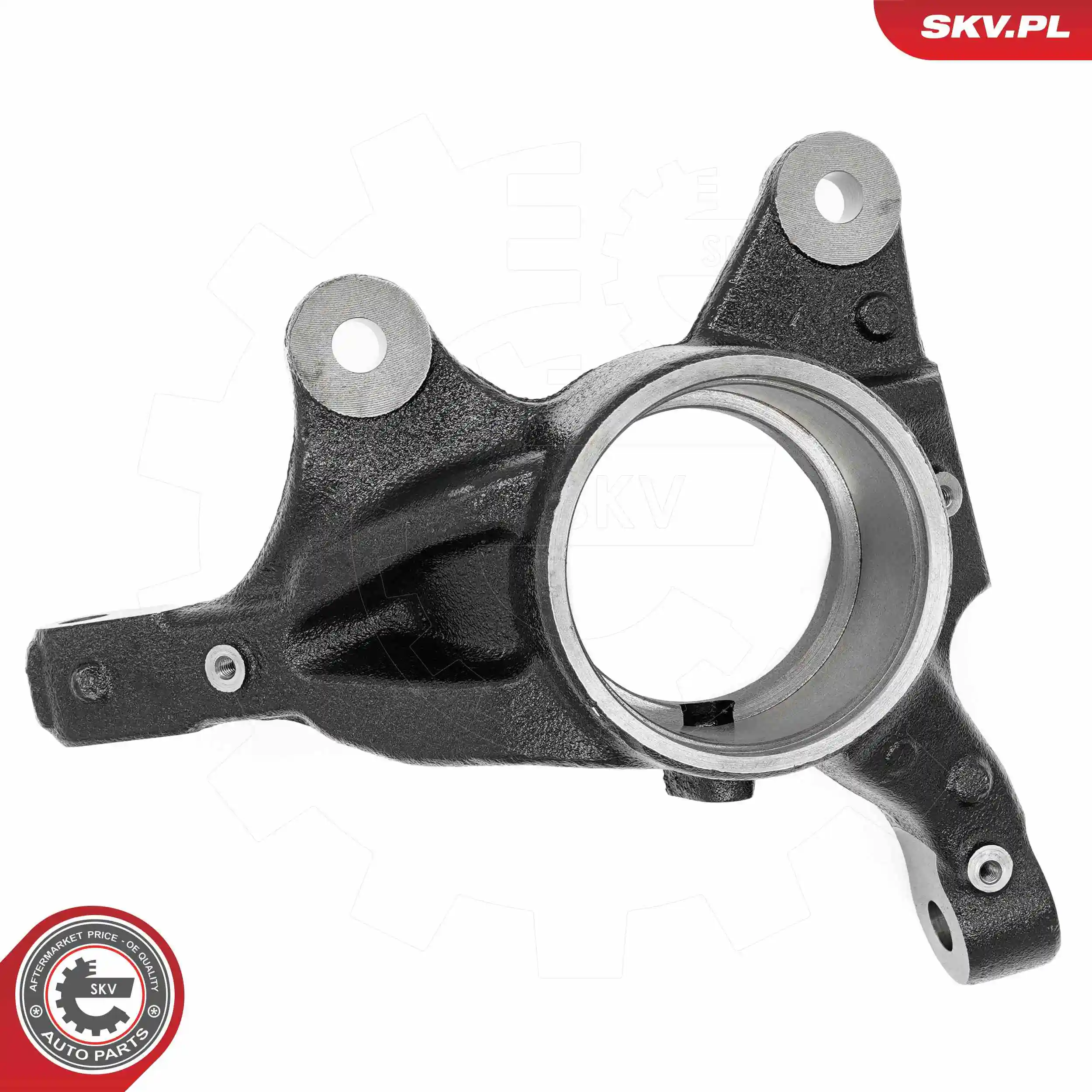 Steering Knuckle, wheel suspension 73SKV021
