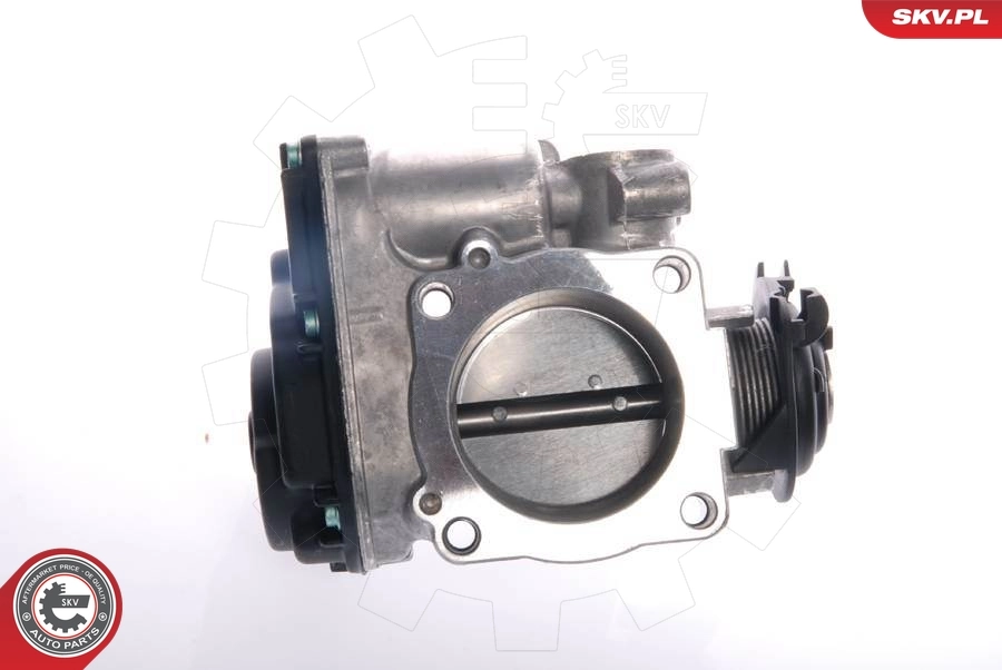 Throttle Body 12SKV019