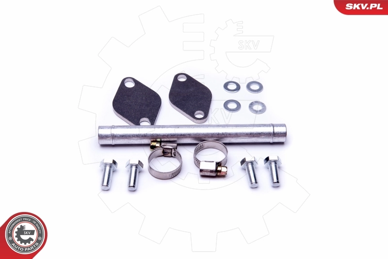 ESEN SKV 14SKV507 Repair Set, EGR valve