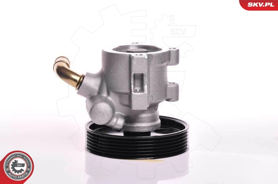 Hydraulic Pump, steering 10SKV013