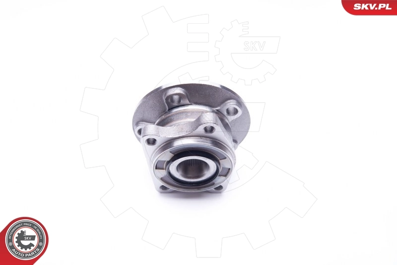 Wheel Bearing Kit 29SKV175