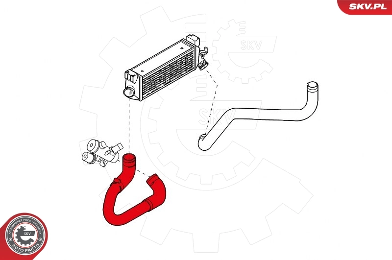 Charge Air Hose 24SKV735