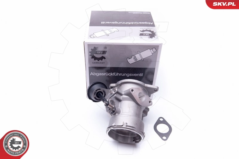 EGR Valve 14SKV093