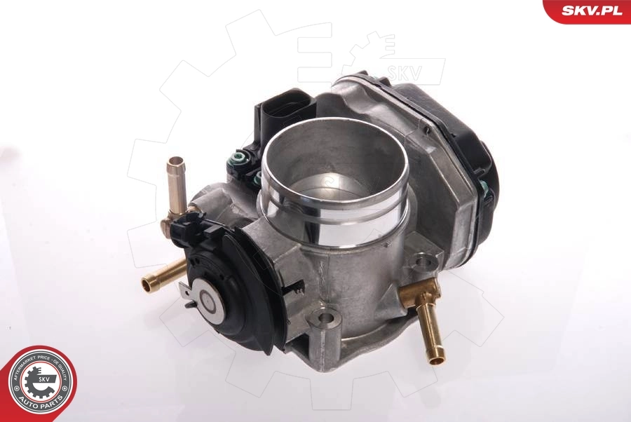 Throttle Body 12SKV025