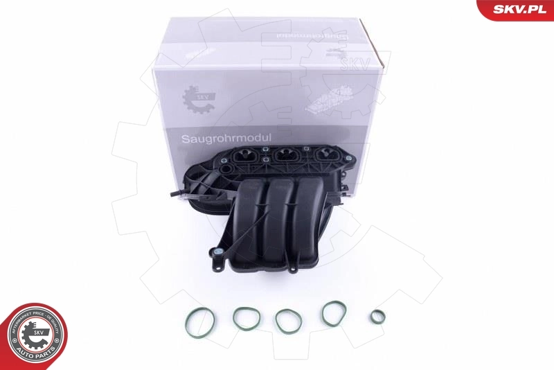 Intake Manifold Module 49SKV056
