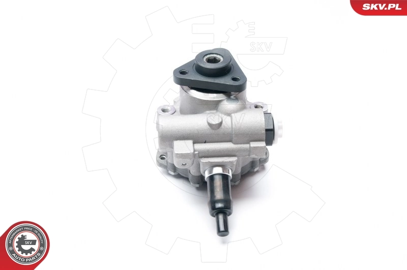 Hydraulic Pump, steering 10SKV233