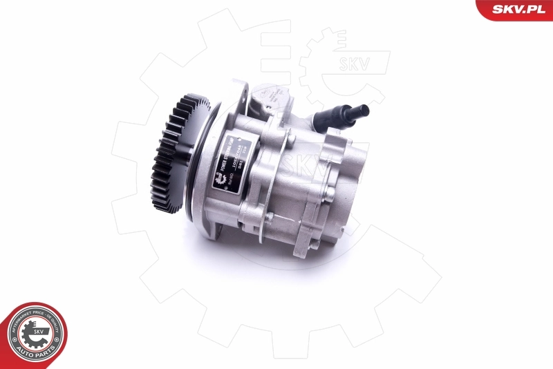 Hydraulic Pump, steering 10SKV289