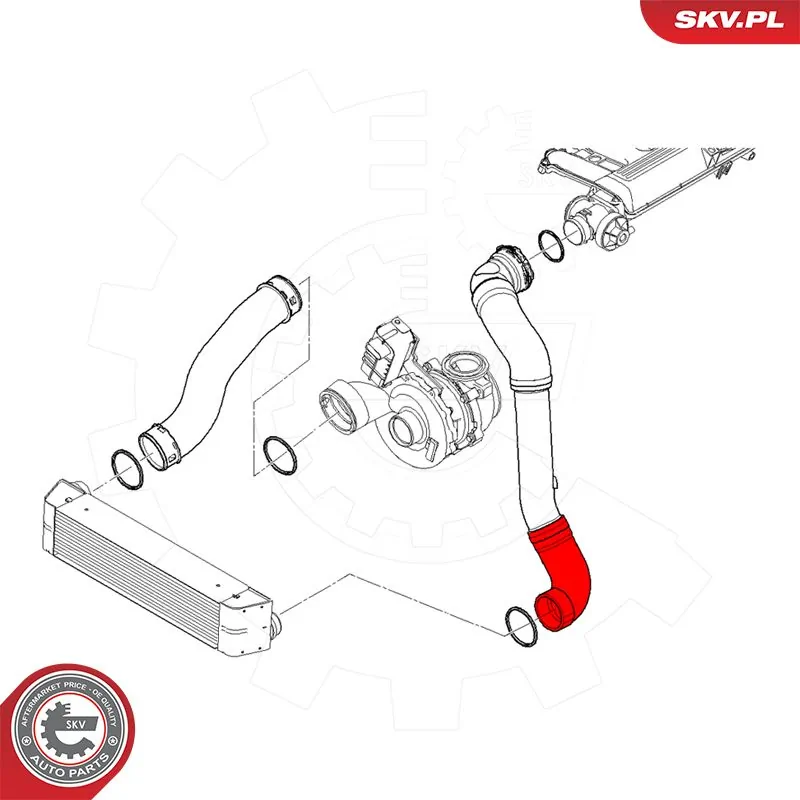 Charge Air Hose 43SKV484