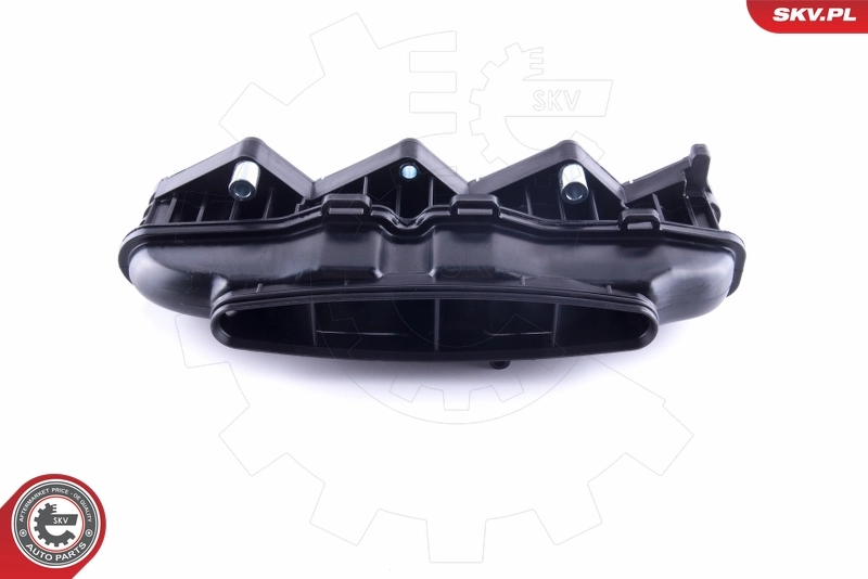 Intake Manifold Module 49SKV057