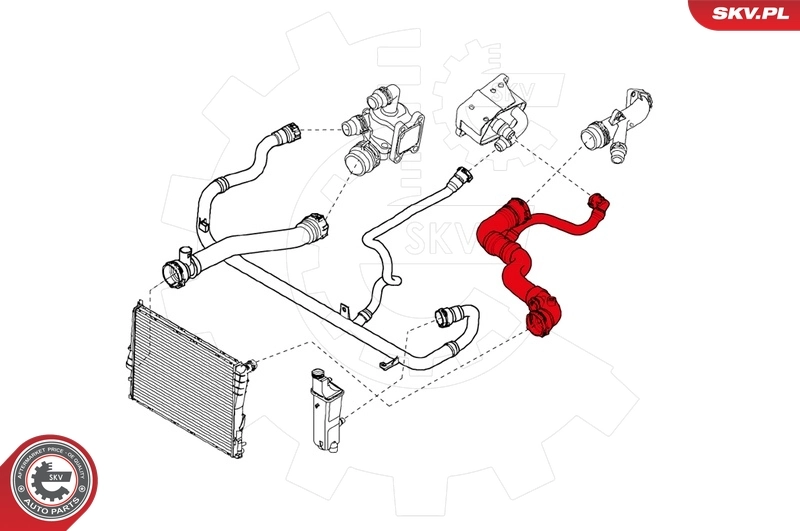 Radiator Hose 24SKV204
